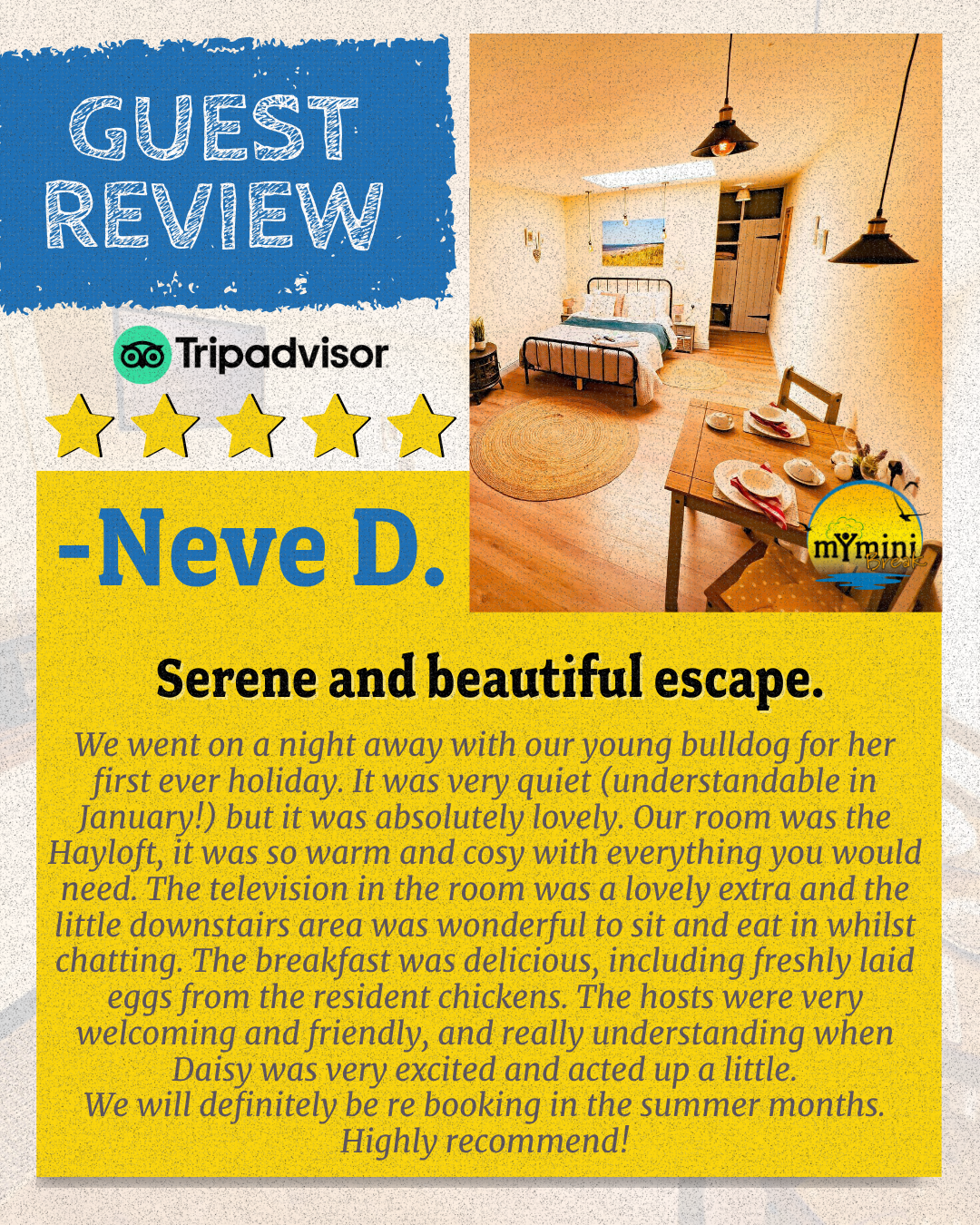 5 star TripAdvisor review for Norfolk Accommodation from Neve D that says "We went on a night away with our young bulldog for her first ever holiday. It was very quiet (understandable in January!) but it was absolutely lovely. Our room was the Hayloft, it was so warm and cosy with everything you would need. The television in the room was a lovely extra and the little downstairs area was wonderful to sit and eat in whilst chatting. The breakfast was delicious, including freshly laid eggs from the resident chickens. The hosts were very welcoming and friendly, and really understanding when Daisy was very excited and acted up a little. We will definitely be re booking in the summer months. Highly recommend!"