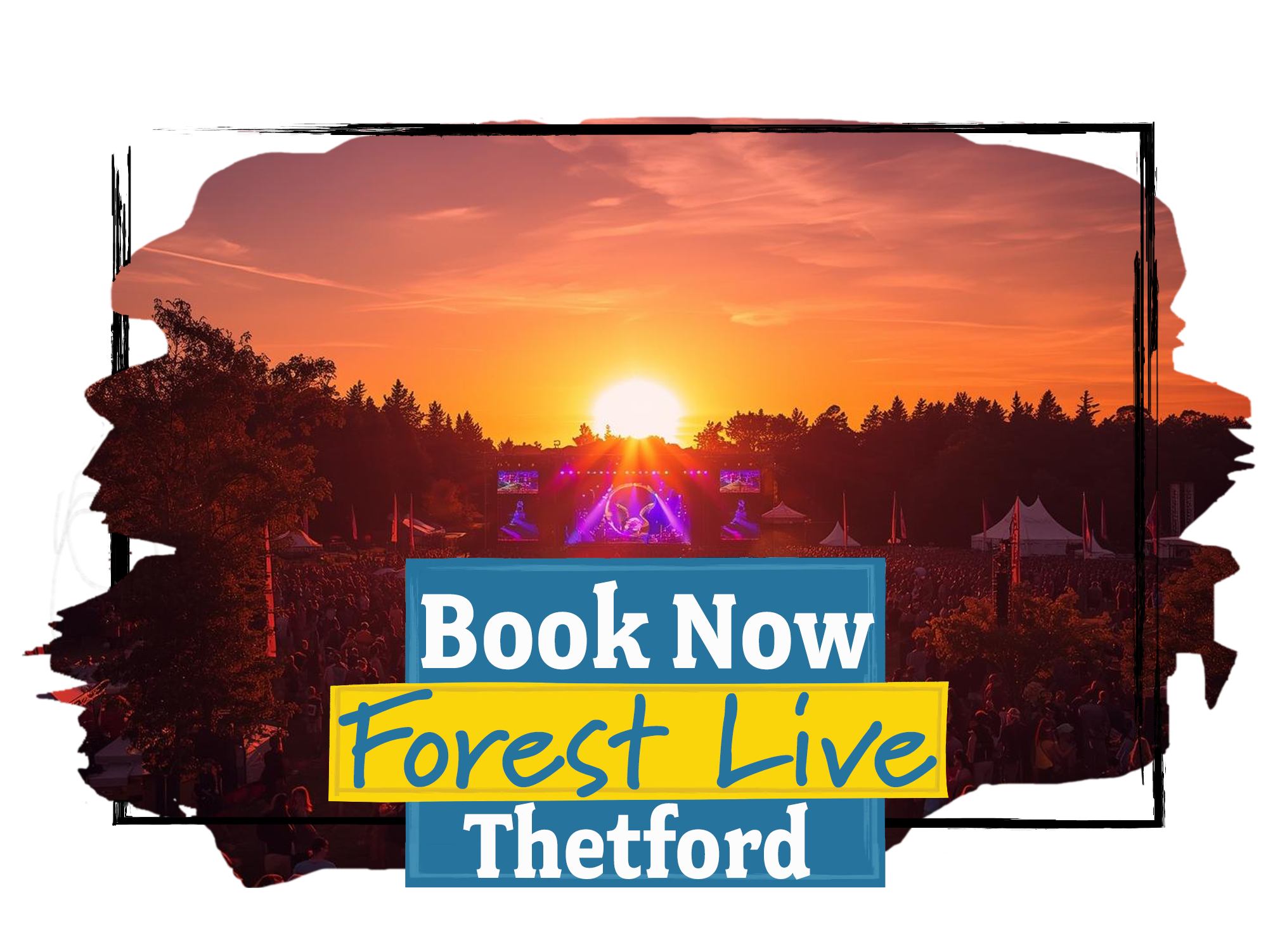 Book accommodation at Forest Live in High Lodge, Thetford now!